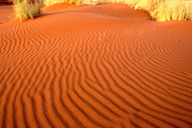 desert sands16x24 ws red sand