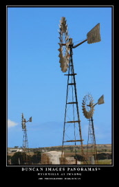 img 087 penong windmills